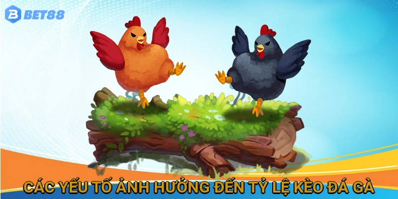 Các Yếu Tố Ảnh Hưởng Đến Tỷ Lệ Kèo Đá Gà Tre