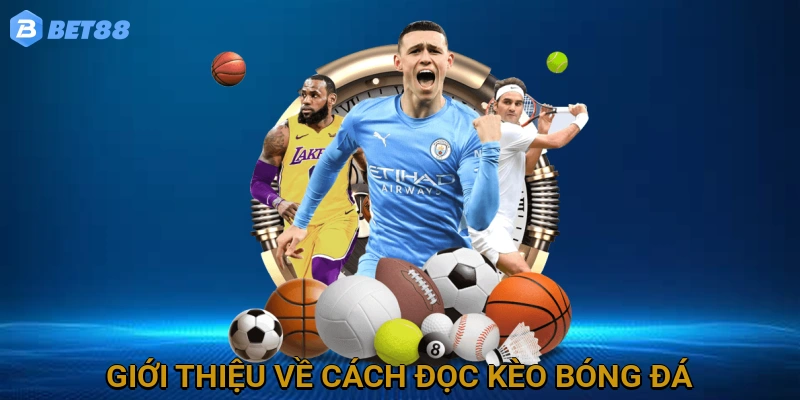Giới thiệu tổng quan về cách đọc kèo bóng đá