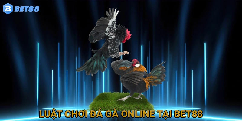 Luật Chơi Đá Gà Online Tại BET88