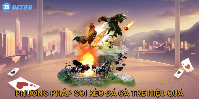 Phương Pháp Soi Kèo Đá Gà Tre Hiệu Quả Cho Người Mới Bắt Đầu