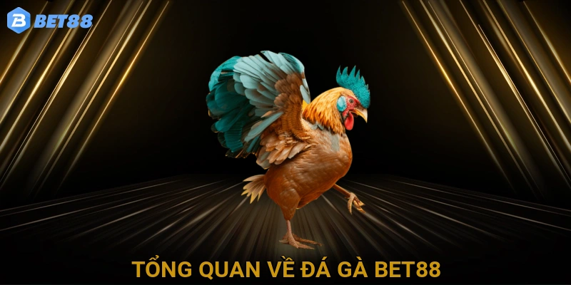 Tổng Quan Về Đá Gà BET88