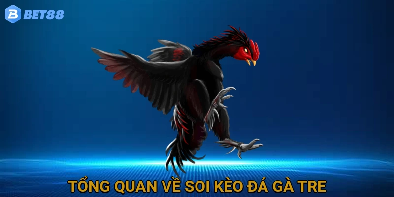 Tổng Quan Về Soi Kèo Đá Gà Tre