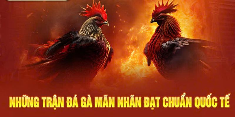 ke-ne-don-linh-hoat-trong-tran-dau