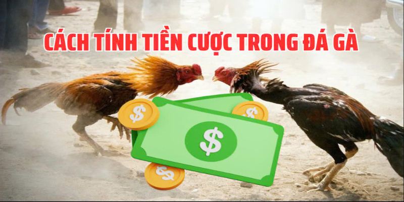thuong-lon-cho-nguoi-chien-thang